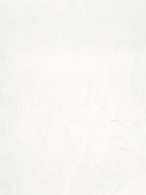 Tooth Whitener Powder